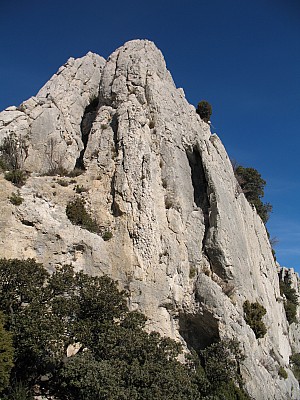 20120122_ 009.jpg